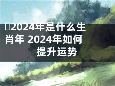​2024年是什么生肖年 2024年如何提升运势