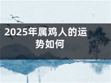 2025年属鸡人的运势如何 