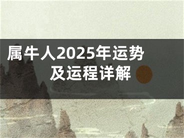 属牛人2025年运势及运程详解