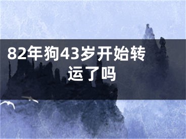 82年狗43岁开始转运了吗