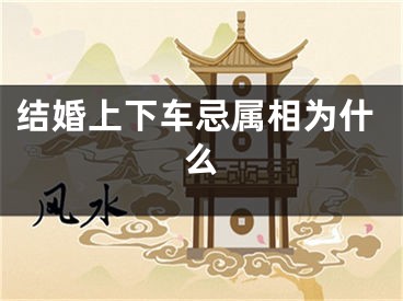 结婚上下车忌属相为什么