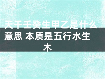天干壬癸生甲乙是什么意思 本质是五行水生木 