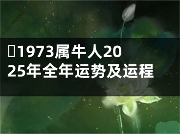 ​1973属牛人2025年全年运势及运程