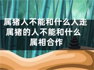 属猪人不能和什么人走 属猪的人不能和什么属相合作