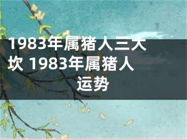 1983年属猪人三大坎 1983年属猪人运势