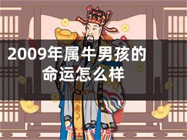 2009年属牛男孩的命运怎么样 