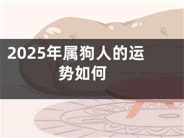2025年属狗人的运势如何 