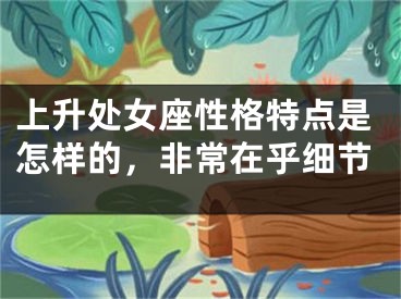 上升处女座性格特点是怎样的，非常在乎细节