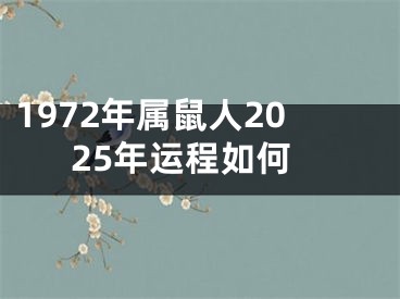 1972年属鼠人2025年运程如何