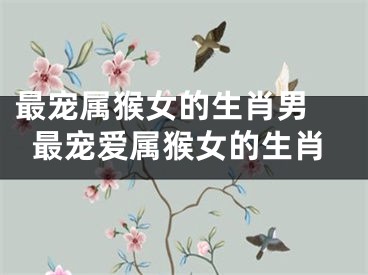最宠属猴女的生肖男 最宠爱属猴女的生肖