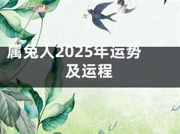 属兔人2025年运势及运程