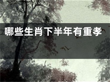 哪些生肖下半年有重孝 