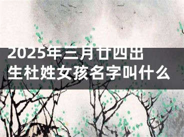 2025年三月廿四出生杜姓女孩名字叫什么