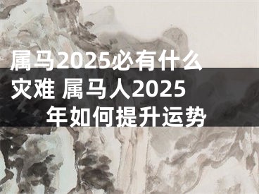 属马2025必有什么灾难 属马人2025年如何提升运势