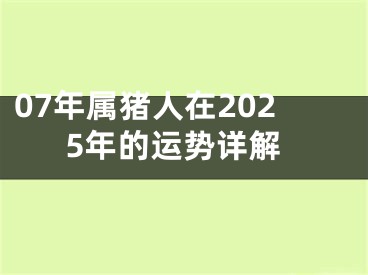 07年属猪人在2025年的运势详解