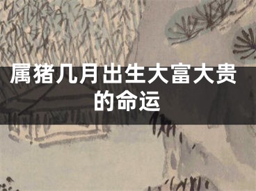 属猪几月出生大富大贵的命运