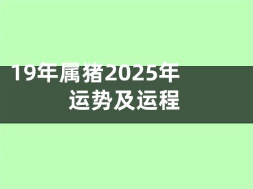 19年属猪2025年运势及运程