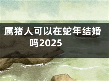 属猪人可以在蛇年结婚吗2025