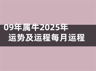 09年属牛2025年运势及运程每月运程