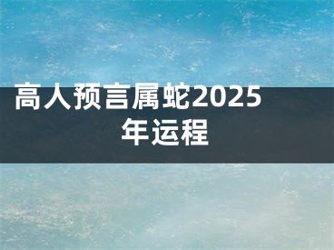 高人预言属蛇2025年运程