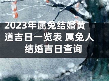 2023年属兔结婚黄道吉日一览表 属兔人结婚吉日查询