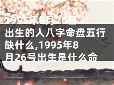 1995年8月26日出生的人八字命盘五行缺什么,1995年8月26号出生是什么命