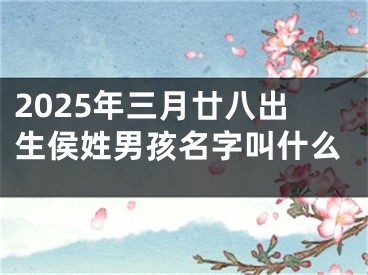 2025年三月廿八出生侯姓男孩名字叫什么