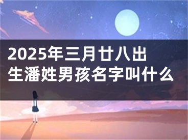 2025年三月廿八出生潘姓男孩名字叫什么