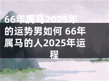 66年属马2025年的运势男如何 66年属马的人2025年运程