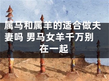属马和属羊的适合做夫妻吗 男马女羊千万别在一起