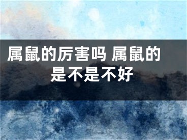 属鼠的厉害吗 属鼠的是不是不好