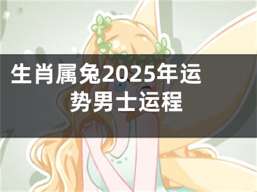 生肖属兔2025年运势男士运程