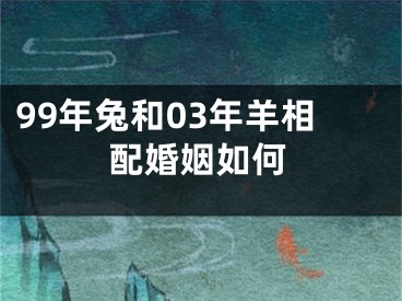 99年兔和03年羊相配婚姻如何