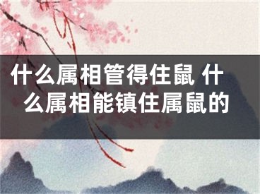 什么属相管得住鼠 什么属相能镇住属鼠的