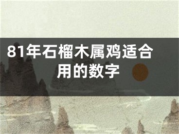 81年石榴木属鸡适合用的数字
