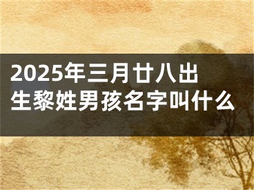 2025年三月廿八出生黎姓男孩名字叫什么