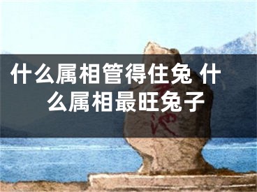 什么属相管得住兔 什么属相最旺兔子