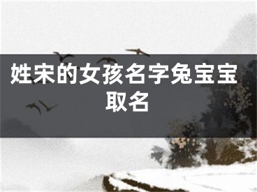 姓宋的女孩名字兔宝宝取名