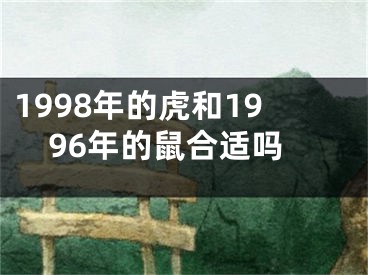 1998年的虎和1996年的鼠合适吗