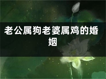 老公属狗老婆属鸡的婚姻