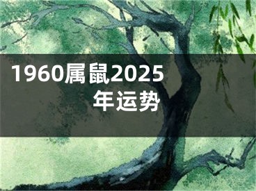 1960属鼠2025年运势