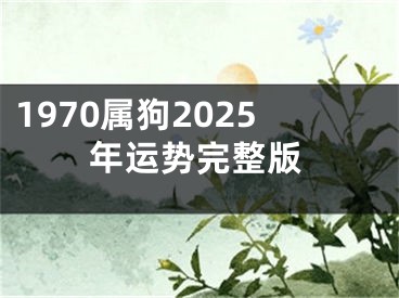 1970属狗2025年运势完整版