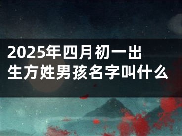 2025年四月初一出生方姓男孩名字叫什么