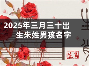 2025年三月三十出生朱姓男孩名字