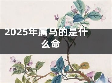 2025年属马的是什么命 