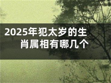2025年犯太岁的生肖属相有哪几个