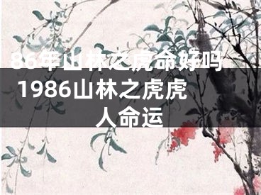 86年山林之虎命好吗 1986山林之虎虎人命运