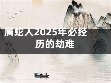 属蛇人2025年必经历的劫难