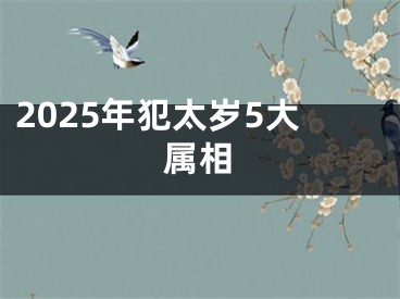 2025年犯太岁5大属相