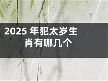 2025 年犯太岁生肖有哪几个 